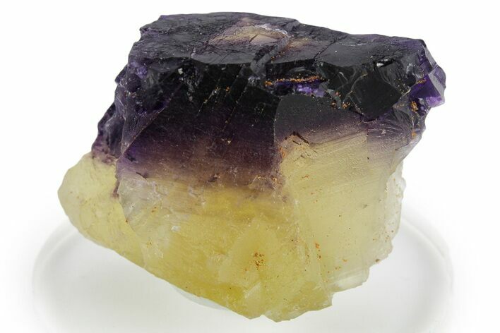 Yellow & Purple Bicolor Fluorite Crystal - Cave-in-Rock, Illinois #347816